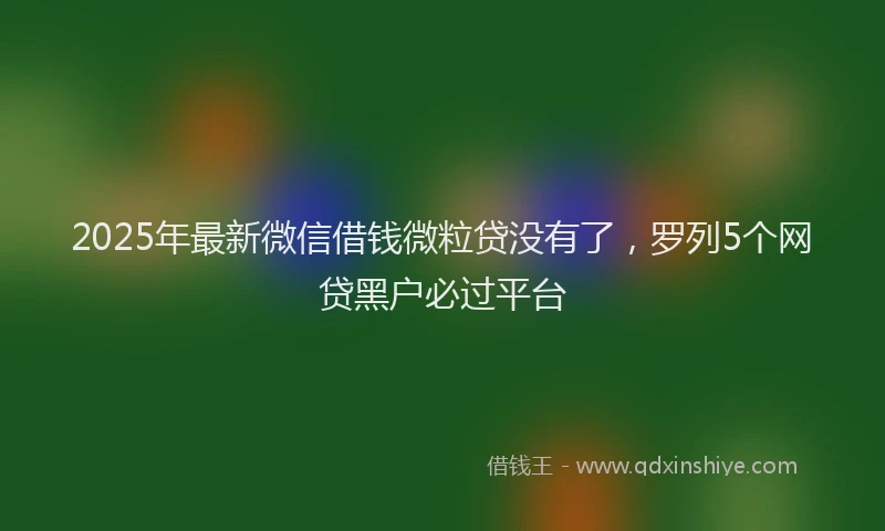 2025年最新微信借钱微粒贷没有了，罗列5个网贷黑户必过平台