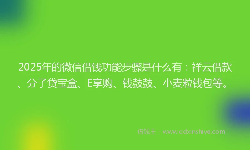 2025年的微信借钱功能步骤是什么有：祥云借款、分子贷宝盒、E享购、钱鼓鼓、小麦粒钱包等。