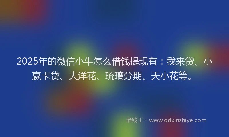 2025年的微信小牛怎么借钱提现有：我来贷、小赢卡贷、大洋花、琉璃分期、天小花等。