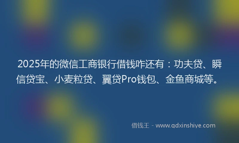 2025年的微信工商银行借钱咋还有：功夫贷、瞬信贷宝、小麦粒贷、翼贷Pro钱包、金鱼商城等。