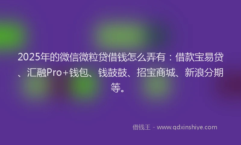 2025年的微信微粒贷借钱怎么弄有：借款宝易贷、汇融Pro+钱包、钱鼓鼓、招宝商城、新浪分期等。