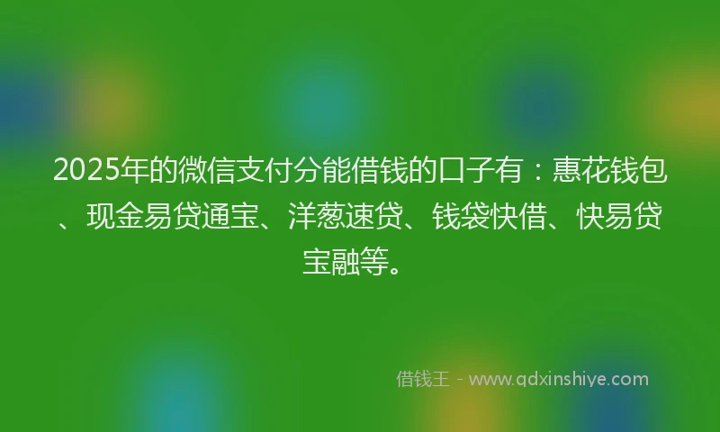 2025年的微信支付分能借钱的口子有：惠花钱包、现金易贷通宝、洋葱速贷、钱袋快借、快易贷宝融等。