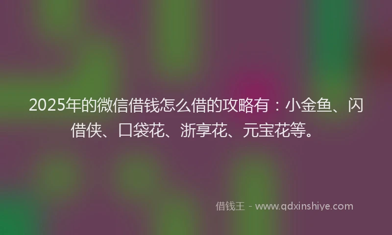 2025年的微信借钱怎么借的攻略有：小金鱼、闪借侠、口袋花、浙享花、元宝花等。