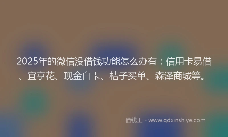 2025年的微信没借钱功能怎么办有：信用卡易借、宜享花、现金白卡、桔子买单、森泽商城等。