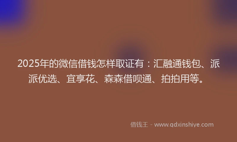 2025年的微信借钱怎样取证有：汇融通钱包、派派优选、宜享花、森森借呗通、拍拍用等。