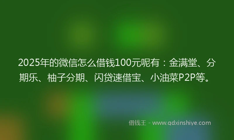 2025年的微信怎么借钱100元呢有：金满堂、分期乐、柚子分期、闪贷速借宝、小油菜P2P等。