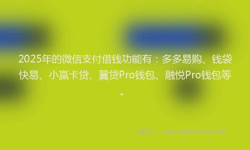 2025年的微信支付借钱功能有：多多易购、钱袋快易、小赢卡贷、翼贷Pro钱包、融悦Pro钱包等。