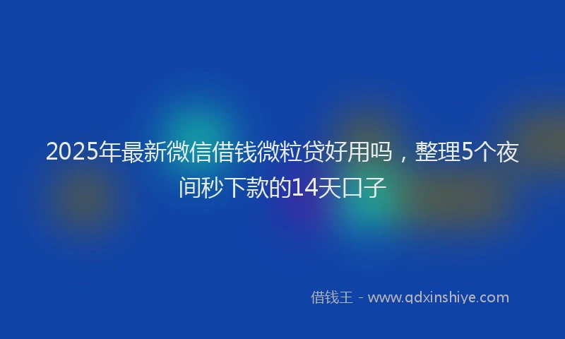 2025年最新微信借钱微粒贷好用吗，整理5个夜间秒下款的14天口子