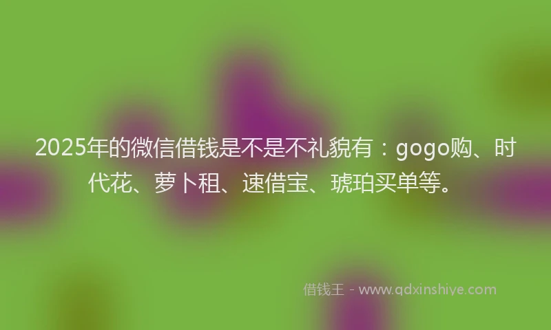 2025年的微信借钱是不是不礼貌有：gogo购、时代花、萝卜租、速借宝、琥珀买单等。