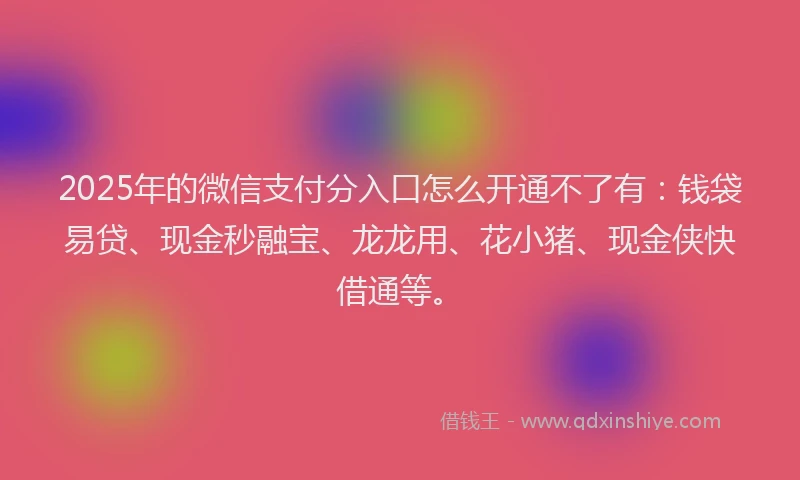 2025年的微信支付分入口怎么开通不了有：钱袋易贷、现金秒融宝、龙龙用、花小猪、现金侠快借通等。