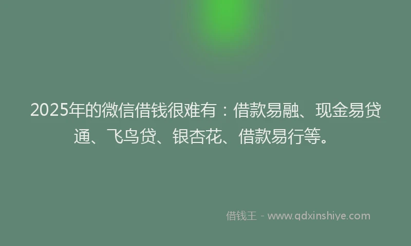 2025年的微信借钱很难有：借款易融、现金易贷通、飞鸟贷、银杏花、借款易行等。