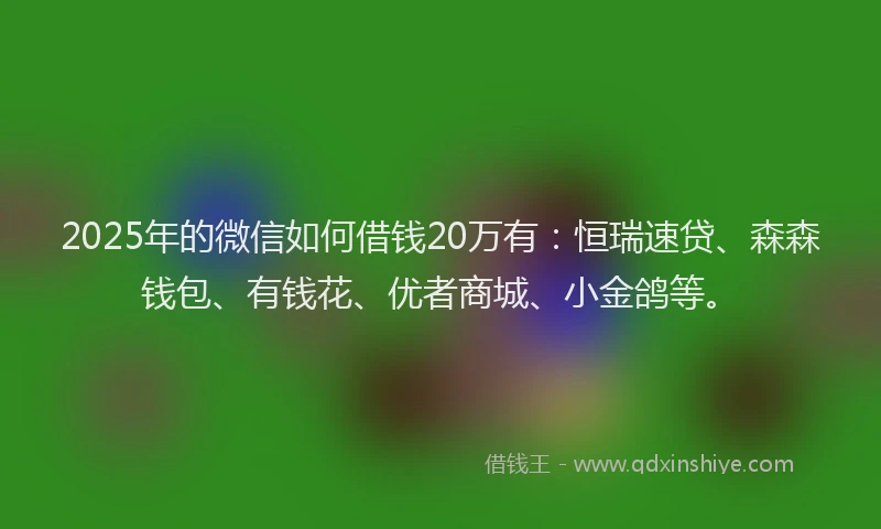 2025年的微信如何借钱20万有：恒瑞速贷、森森钱包、有钱花、优者商城、小金鸽等。