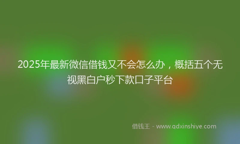 2025年最新微信借钱又不会怎么办，概括五个无视黑白户秒下款口子平台