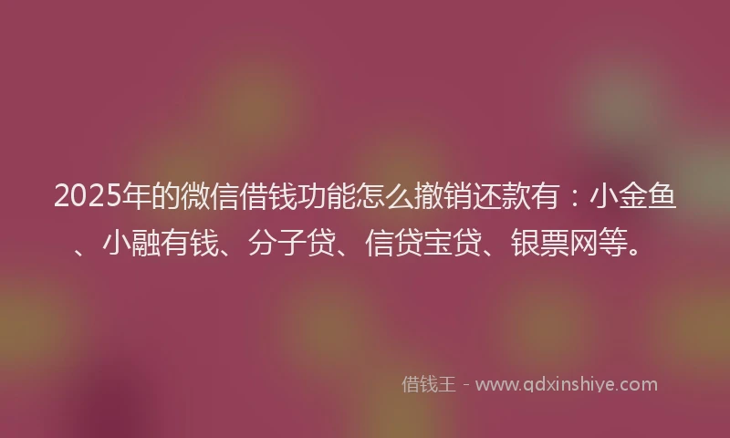 2025年的微信借钱功能怎么撤销还款有：小金鱼、小融有钱、分子贷、信贷宝贷、银票网等。