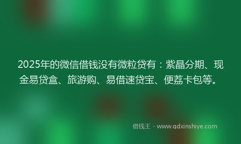 2025年的微信借钱没有微粒贷有：紫晶分期、现金易贷盒、旅游购、易借速贷宝、便荔卡包等。