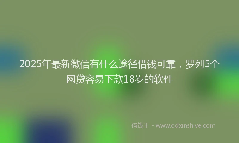 2025年最新微信有什么途径借钱可靠，罗列5个网贷容易下款18岁的软件