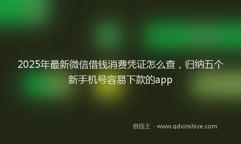 2025年最新微信借钱消费凭证怎么查，归纳五个新手机号容易下款的app