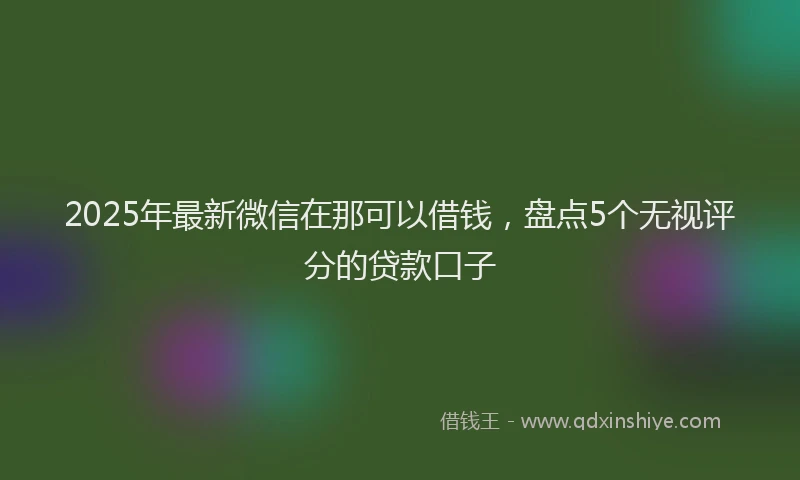 2025年最新微信在那可以借钱，盘点5个无视评分的贷款口子