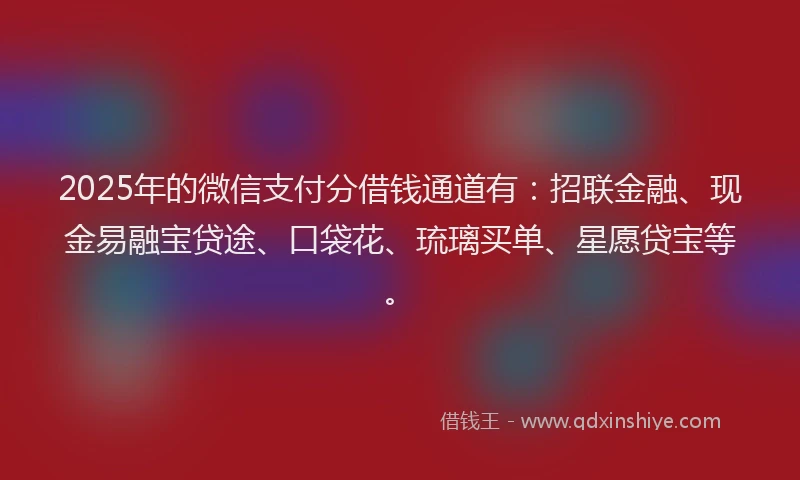 2025年的微信支付分借钱通道有：招联金融、现金易融宝贷途、口袋花、琉璃买单、星愿贷宝等。