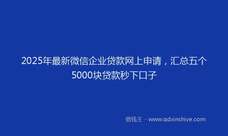 2025年最新微信企业贷款网上申请，汇总五个5000块贷款秒下口子