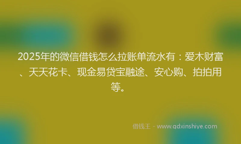 2025年的微信借钱怎么拉账单流水有：爱木财富、天天花卡、现金易贷宝融途、安心购、拍拍用等。