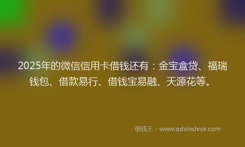 2025年的微信信用卡借钱还有：金宝盒贷、福瑞钱包、借款易行、借钱宝易融、天源花等。