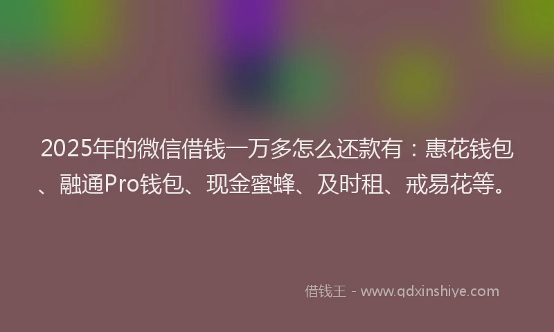 2025年的微信借钱一万多怎么还款有：惠花钱包、融通Pro钱包、现金蜜蜂、及时租、戒易花等。