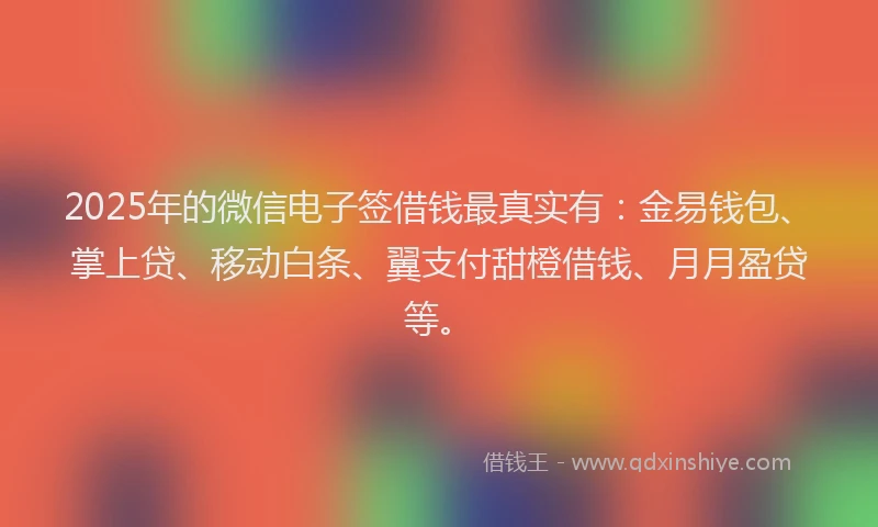 2025年的微信电子签借钱最真实有：金易钱包、掌上贷、移动白条、翼支付甜橙借钱、月月盈贷等。
