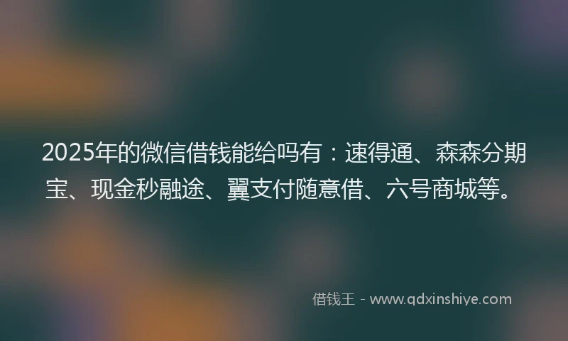 2025年的微信借钱能给吗有：速得通、森森分期宝、现金秒融途、翼支付随意借、六号商城等。