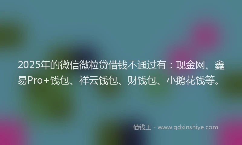 2025年的微信微粒贷借钱不通过有：现金网、鑫易Pro+钱包、祥云钱包、财钱包、小鹅花钱等。