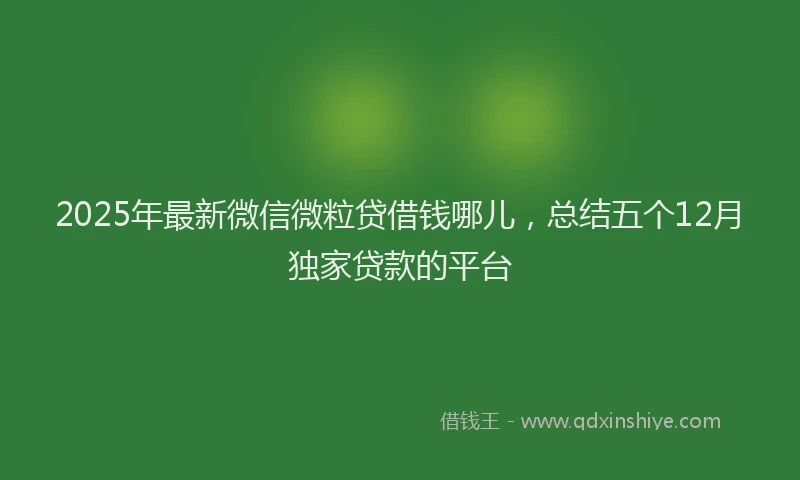 2025年最新微信微粒贷借钱哪儿，总结五个12月独家贷款的平台