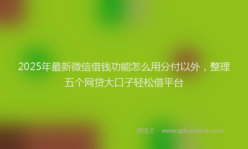 2025年最新微信借钱功能怎么用分付以外，整理五个网贷大口子轻松借平台