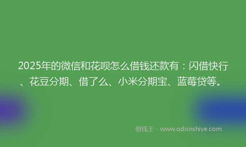 2025年的微信和花呗怎么借钱还款有：闪借快行、花豆分期、借了么、小米分期宝、蓝莓贷等。