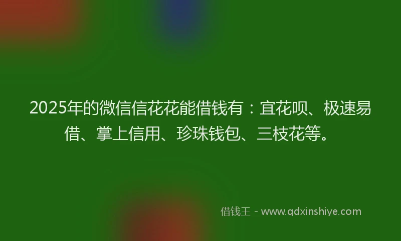 2025年的微信信花花能借钱有：宜花呗、极速易借、掌上信用、珍珠钱包、三枝花等。
