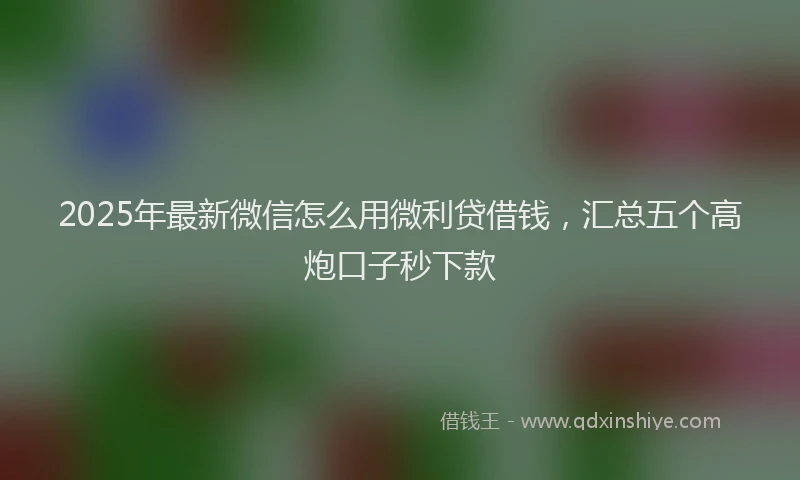 2025年最新微信怎么用微利贷借钱，汇总五个高炮口子秒下款