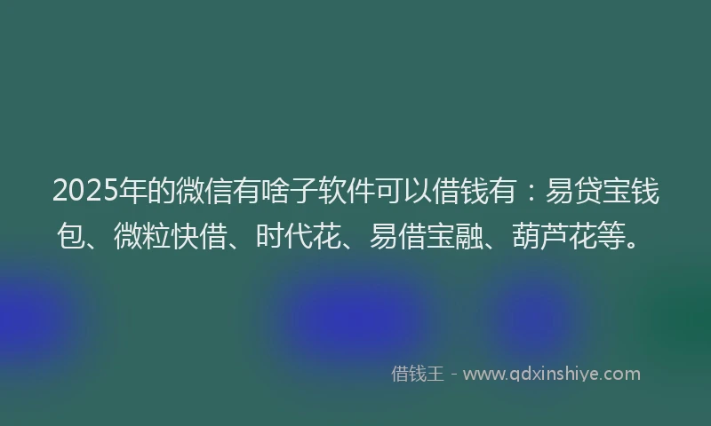 2025年的微信有啥子软件可以借钱有：易贷宝钱包、微粒快借、时代花、易借宝融、葫芦花等。