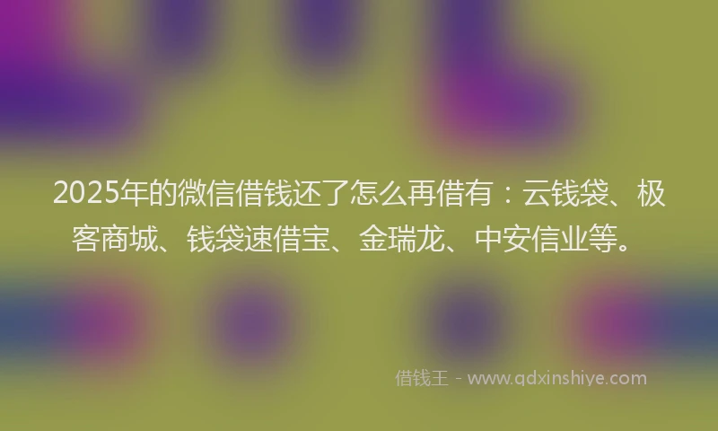 2025年的微信借钱还了怎么再借有：云钱袋、极客商城、钱袋速借宝、金瑞龙、中安信业等。