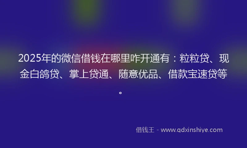 2025年的微信借钱在哪里咋开通有：粒粒贷、现金白鸽贷、掌上贷通、随意优品、借款宝速贷等。