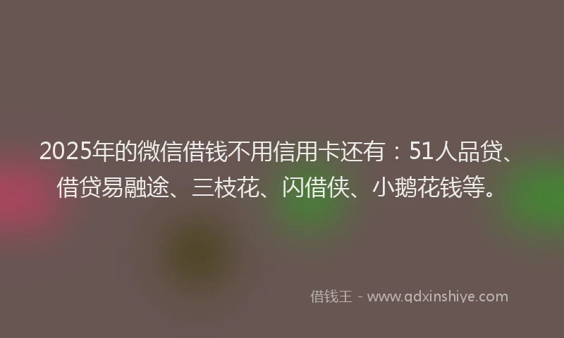 2025年的微信借钱不用信用卡还有：51人品贷、借贷易融途、三枝花、闪借侠、小鹅花钱等。