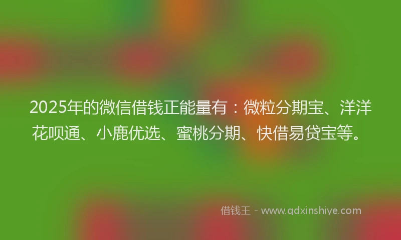 2025年的微信借钱正能量有：微粒分期宝、洋洋花呗通、小鹿优选、蜜桃分期、快借易贷宝等。