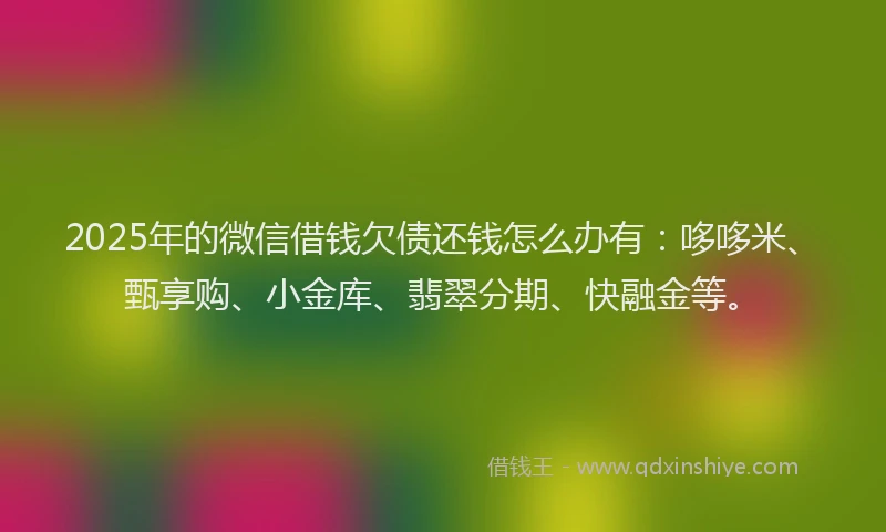 2025年的微信借钱欠债还钱怎么办有：哆哆米、甄享购、小金库、翡翠分期、快融金等。