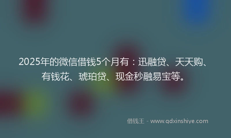 2025年的微信借钱5个月有：迅融贷、天天购、有钱花、琥珀贷、现金秒融易宝等。