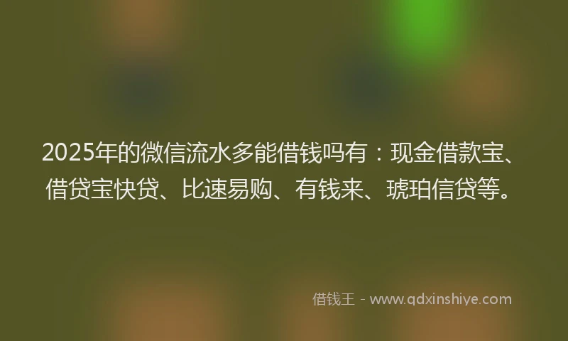 2025年的微信流水多能借钱吗有：现金借款宝、借贷宝快贷、比速易购、有钱来、琥珀信贷等。