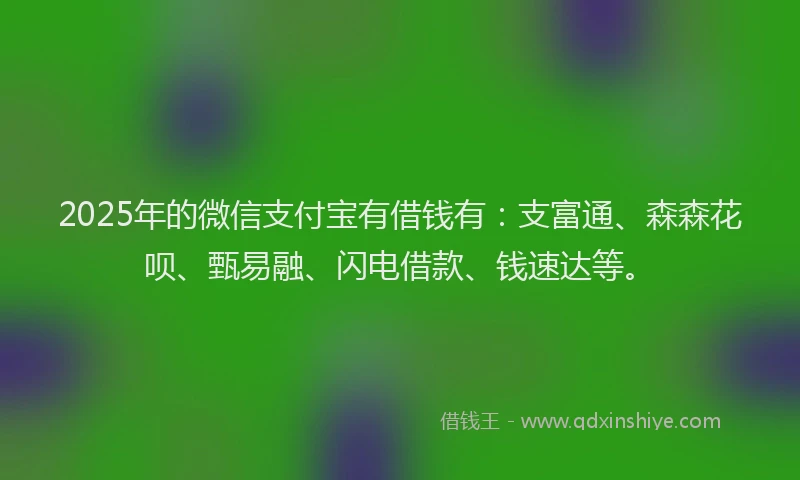 2025年的微信支付宝有借钱有：支富通、森森花呗、甄易融、闪电借款、钱速达等。