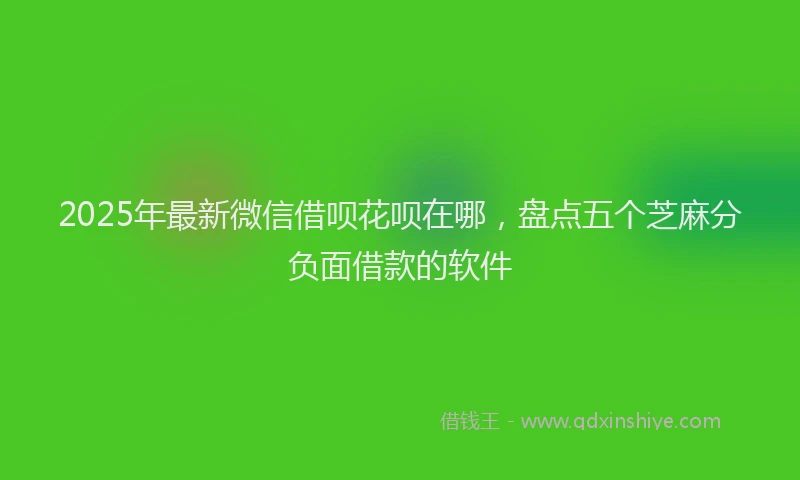 2025年最新微信借呗花呗在哪，盘点五个芝麻分负面借款的软件