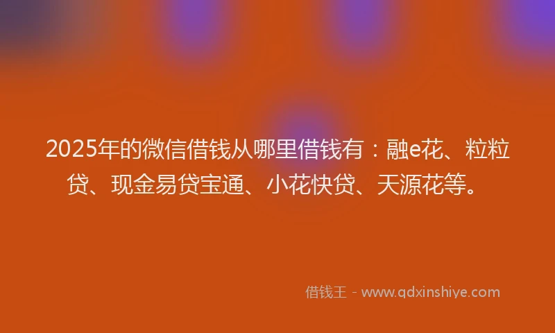 2025年的微信借钱从哪里借钱有：融e花、粒粒贷、现金易贷宝通、小花快贷、天源花等。