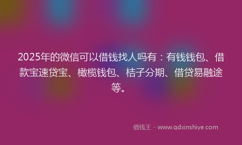 2025年的微信可以借钱找人吗有：有钱钱包、借款宝速贷宝、橄榄钱包、桔子分期、借贷易融途等。