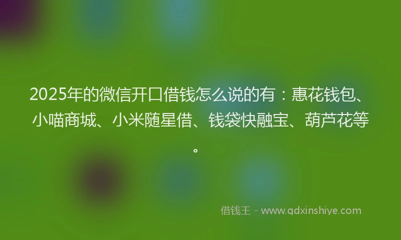 2025年的微信开口借钱怎么说的有：惠花钱包、小喵商城、小米随星借、钱袋快融宝、葫芦花等。
