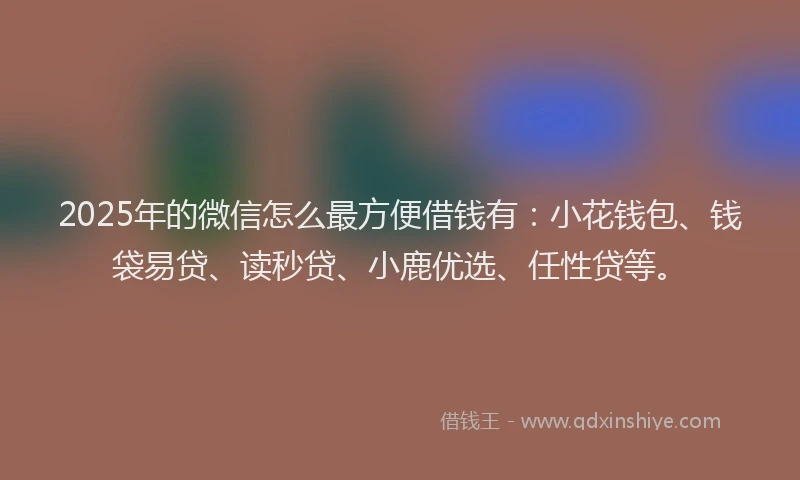 2025年的微信怎么最方便借钱有：小花钱包、钱袋易贷、读秒贷、小鹿优选、任性贷等。