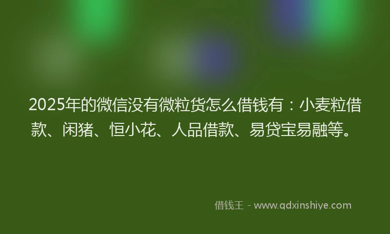 2025年的微信没有微粒货怎么借钱有：小麦粒借款、闲猪、恒小花、人品借款、易贷宝易融等。
